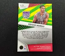 埃里克斯勒布朗和菲利克斯勒布朗